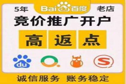 百度推广公司案例解析：如何利用百度推广实现快速转化